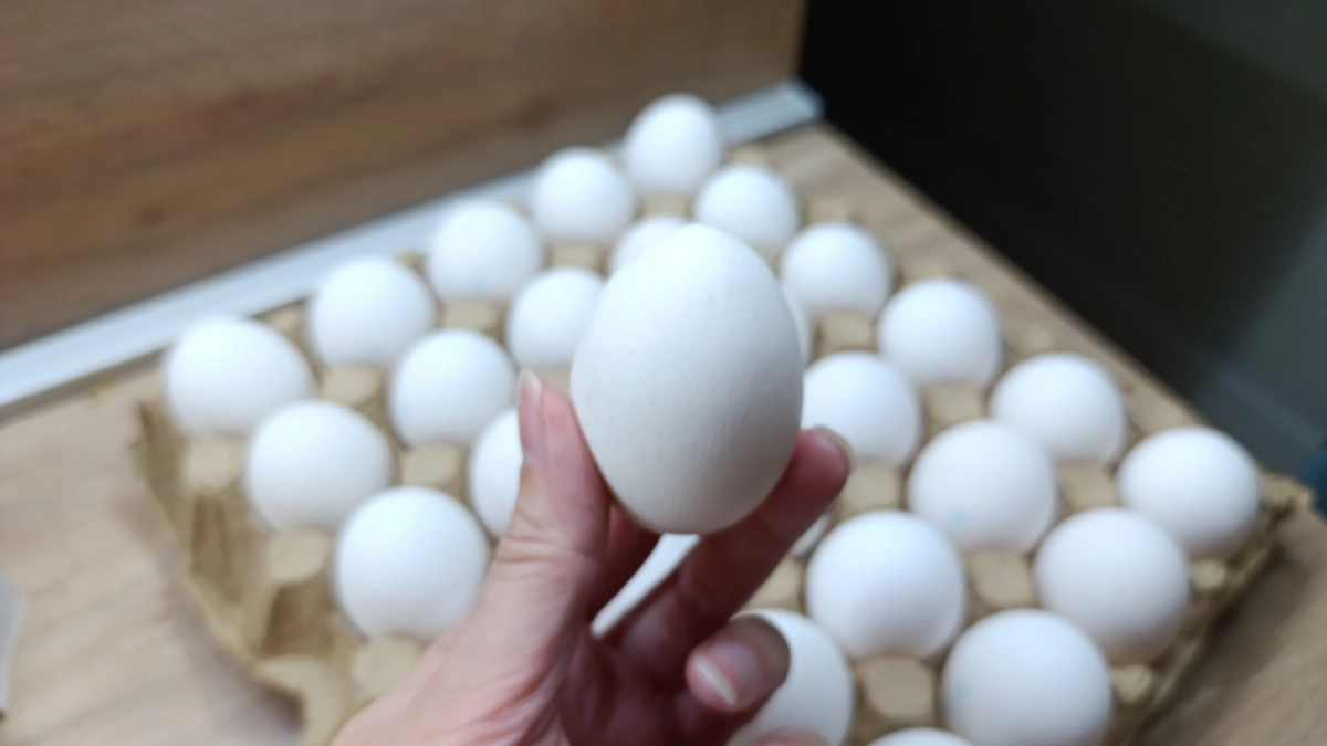 Почему не стоит покупать яйца категории С0 на Пасху - рассказываю честно