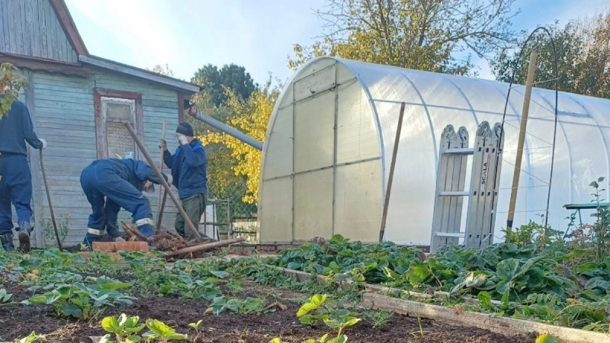 Убрала поликарбонат и не жалею: нашла дешевую замену для теплицы - служит долго, не желтеет и не мутнеет