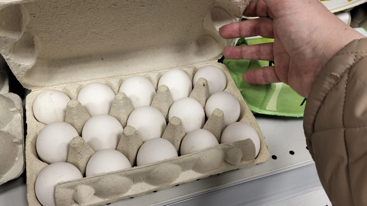 Эксперты подсказали россиянам, как выбрать качественные яйца и творог на Пасху