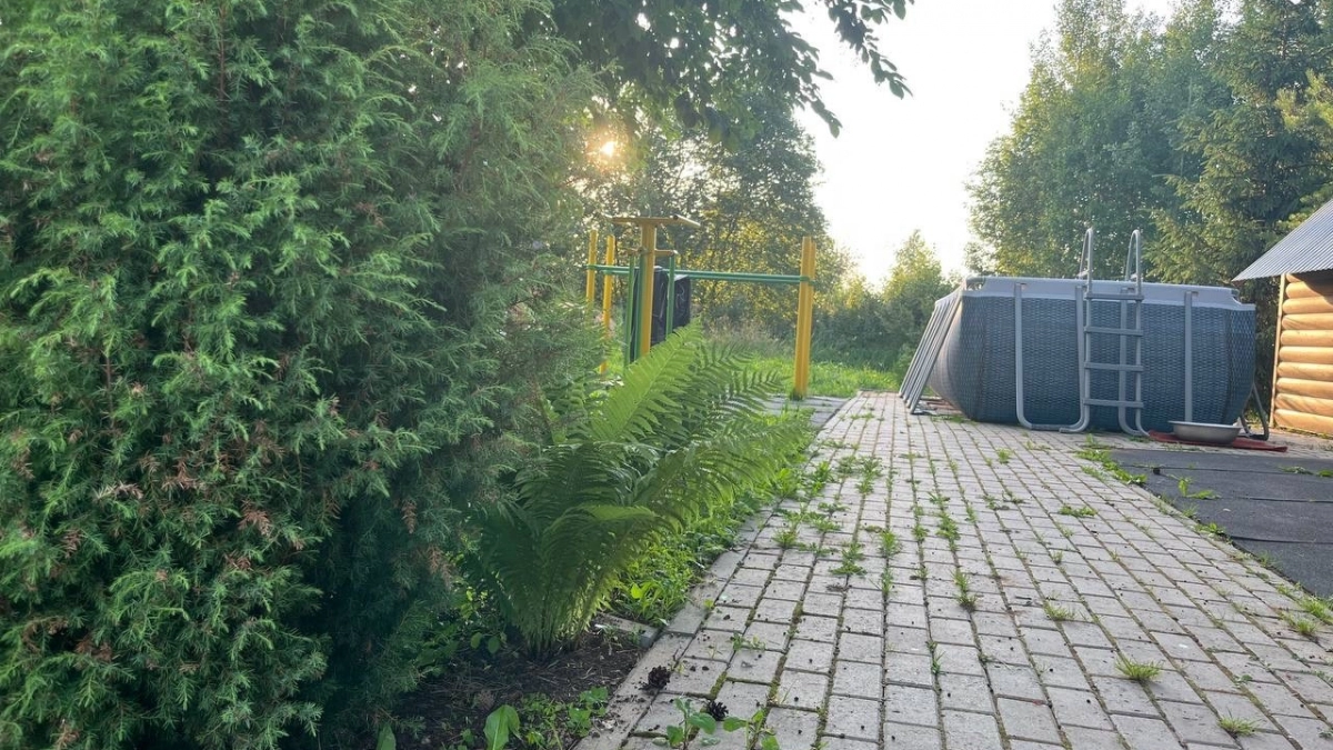 Трава между грядками бесила всех - пока не сделали такие дорожки: 5 методов избавиться от прополки навсегда