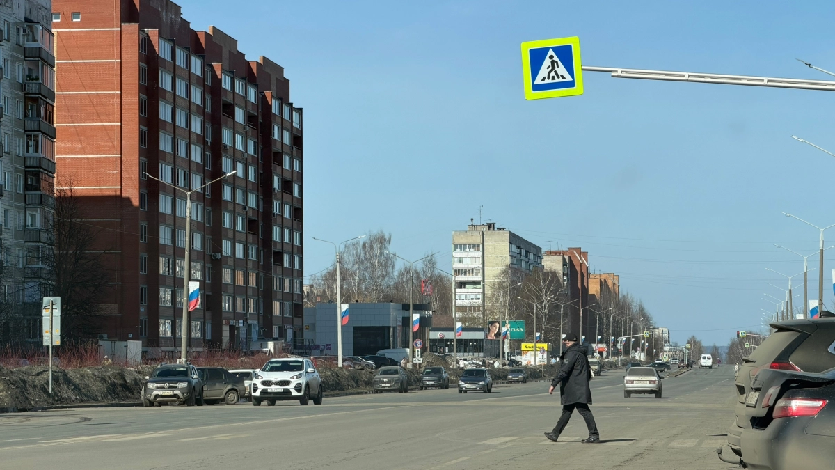 Верховный суд вынес решение: должен ли водитель дожидаться, когда пешеход полностью пересечет проезжую часть