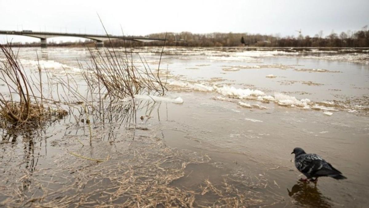 В Кирове река Вятка за одни сутки поднялась сразу на 57 сантиметров