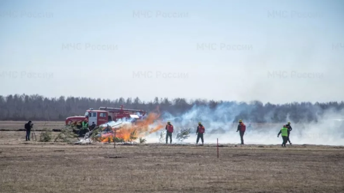 Кировчанам объявили сроки введения противопожарного режима в регионе