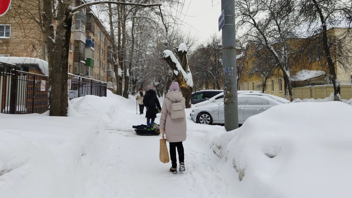 Синоптики рассказали, сколько снега выпадет в Кировской области