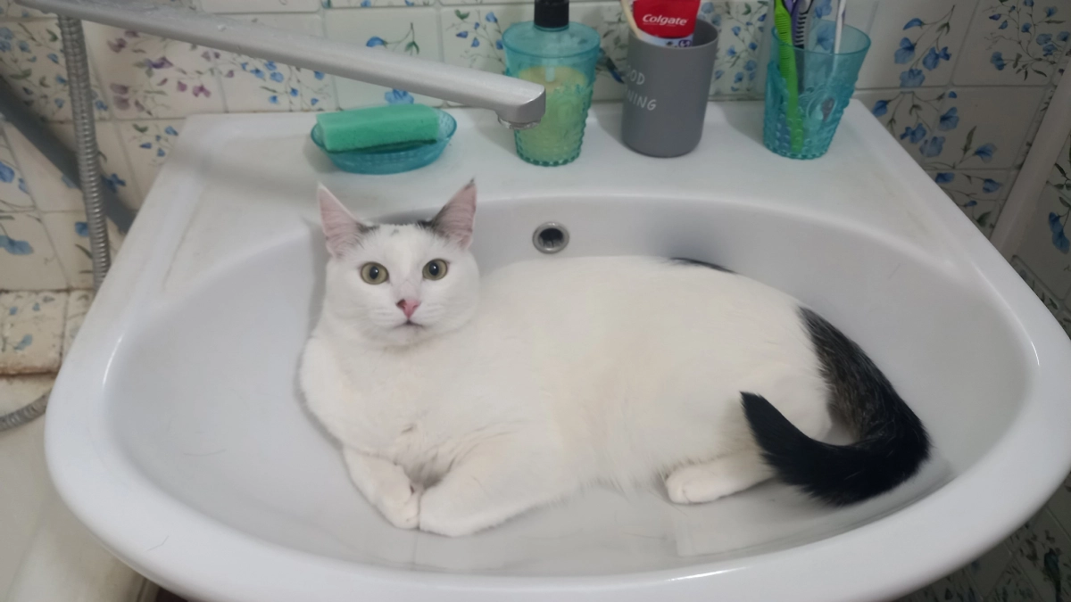 Ярко-зеленая жидкость может политься из кранов у жителей Кирова