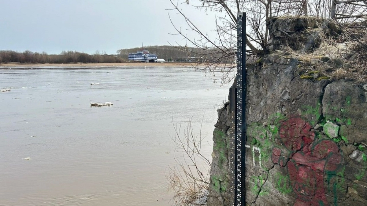 Река Вятка в Кирове поднялась еще на 65 сантиметров за сутки