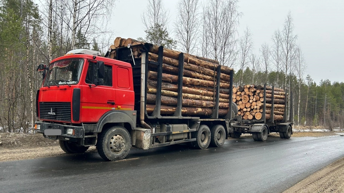 На трассе в Верхнекамском округе лесовоз смял легковушку, есть раненый