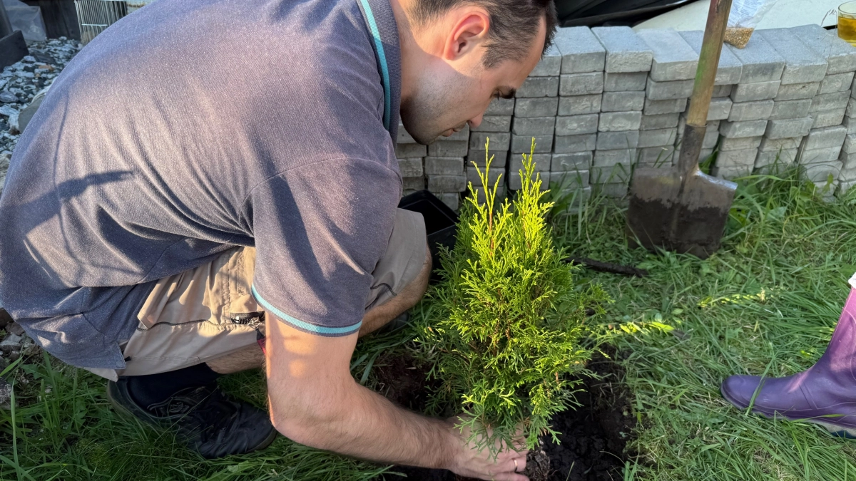 7 бесполезных садовых работ, от которых откажусь в 2026: урожай прет без них