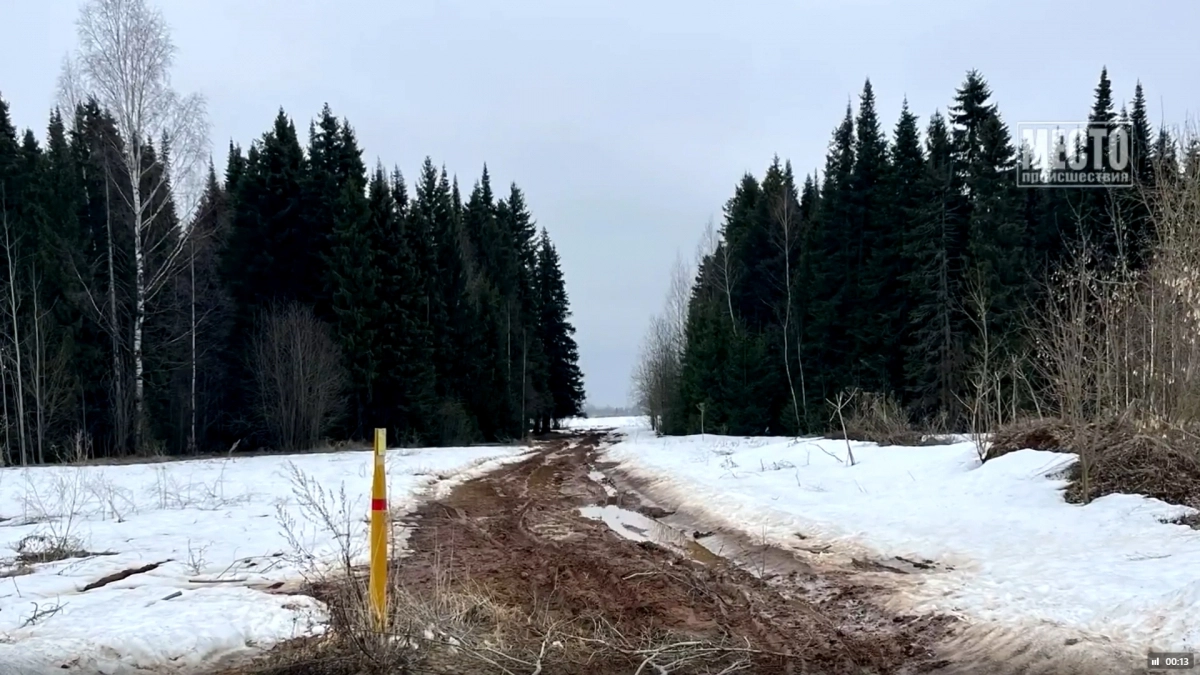 Объявлена предварительная причина смерти пропавшей молодой женщины под Кировом