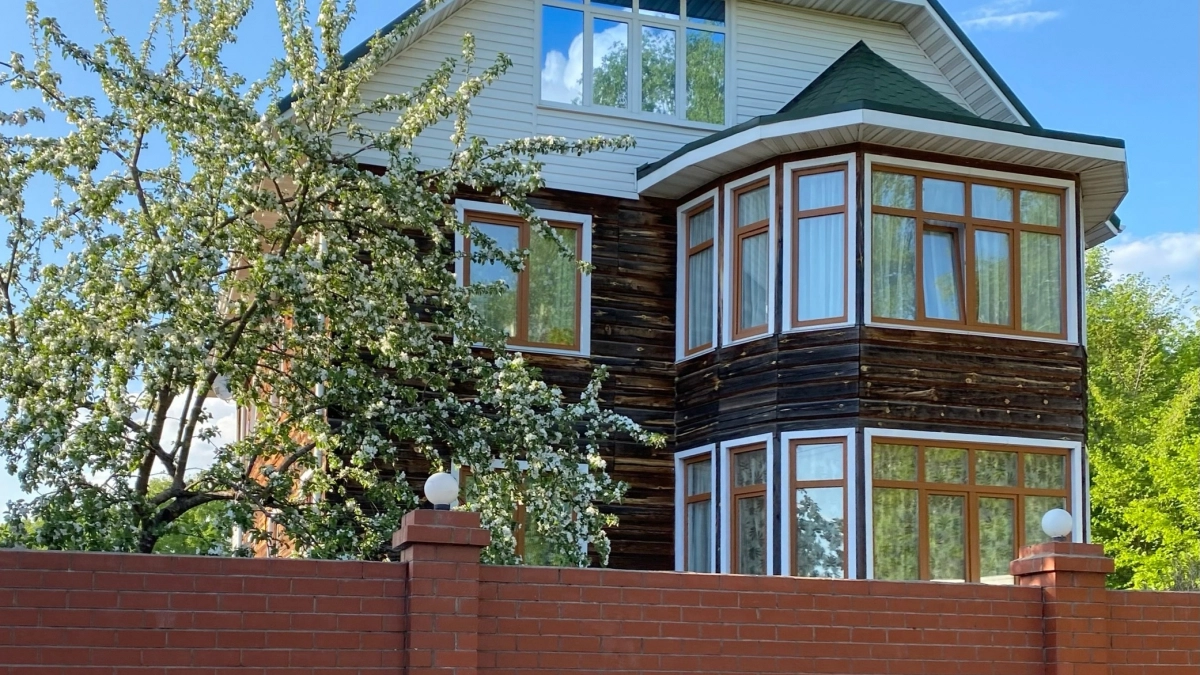 Эти деревья губят соседние растения - что не стоит сажать на участке