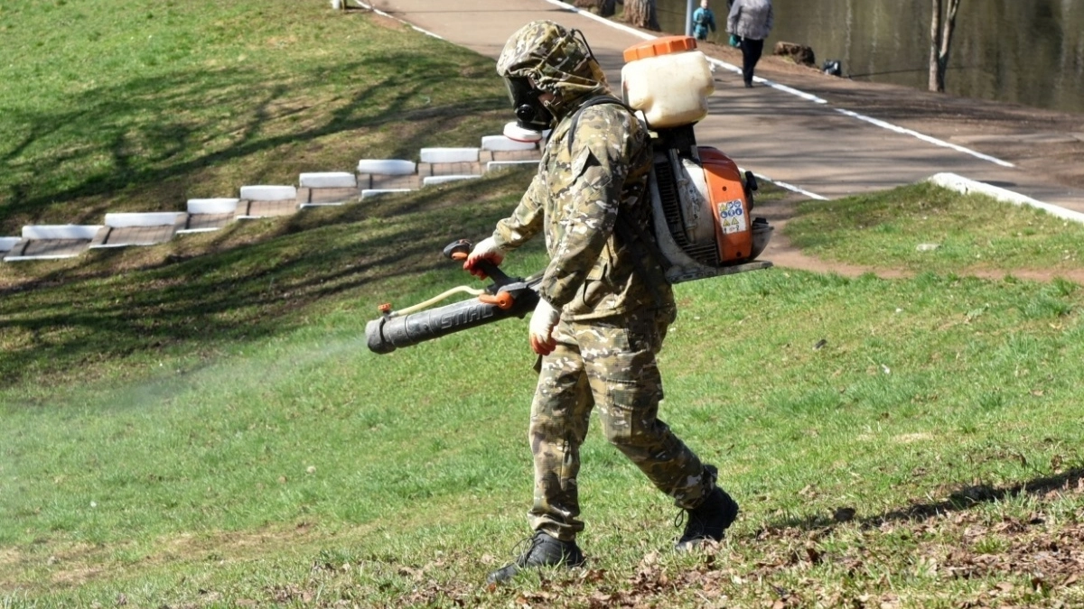 В Кирове парки и зоны отдыха начнут обрабатывать от клещей в апреле