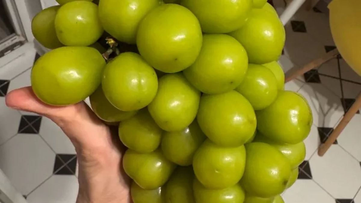 На прилавках нашли гигантский "пластиковый" виноград из Китая: съедобен ли он - объясняет биолог