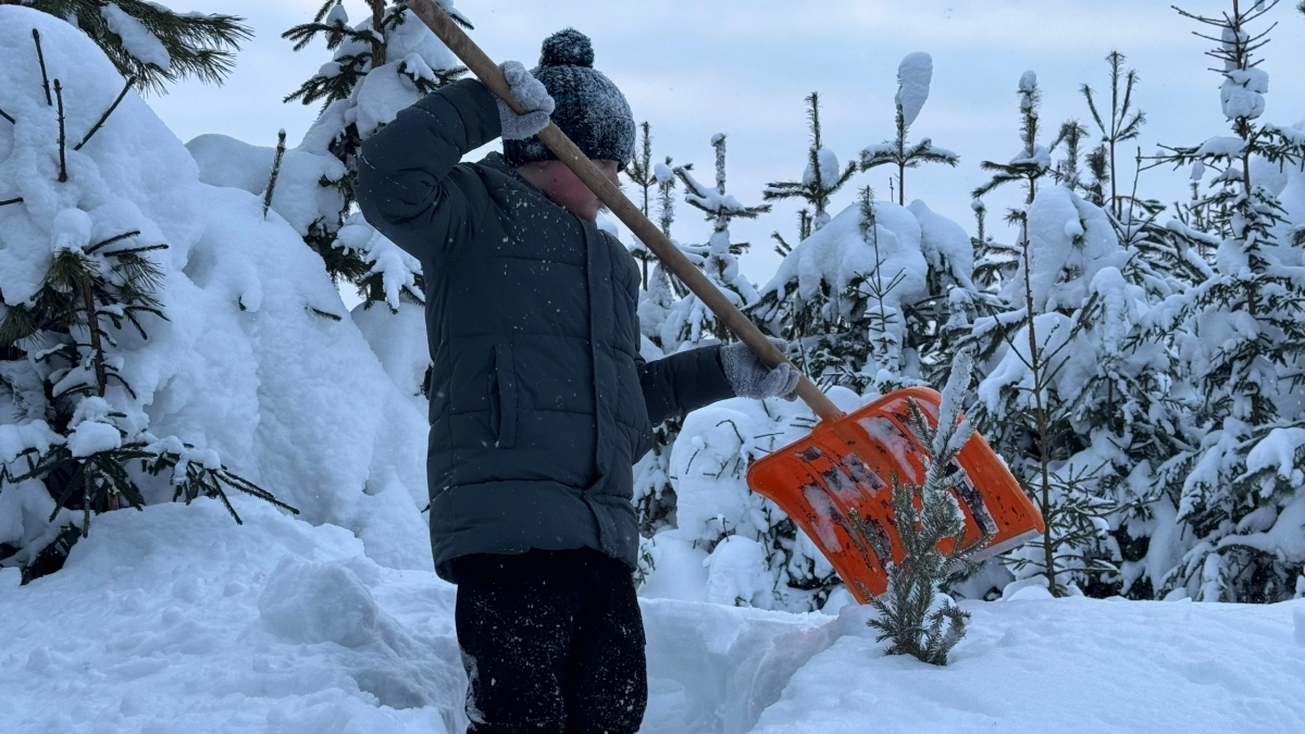 Черемуховые заморозки нагрянут в Россию и покосят весь урожай: как спастись от беды