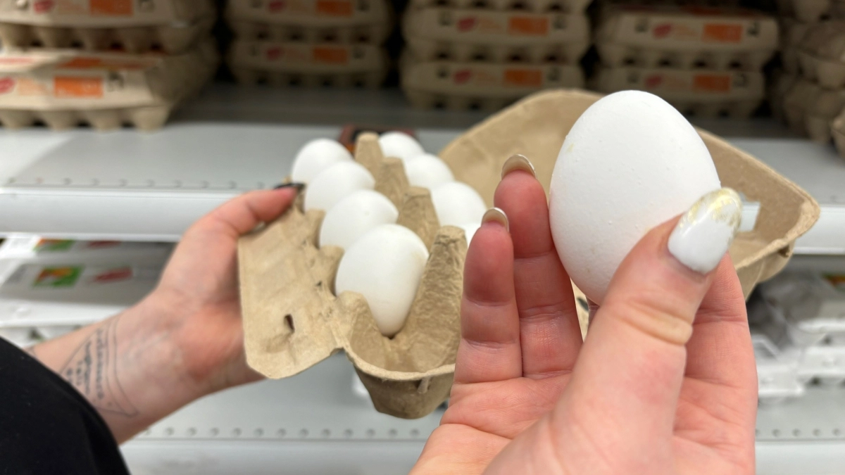 Проверка Роскачества - какие яйца можно смело брать на Пасху - рекомендация экспертов