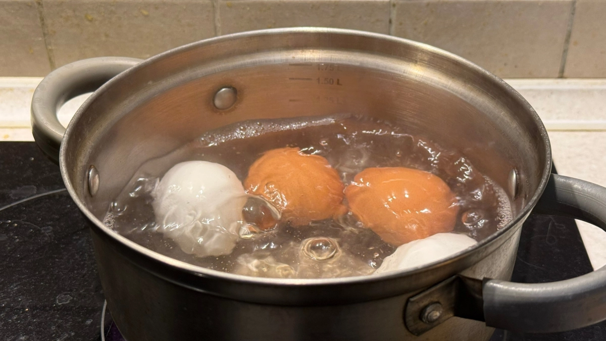 В какую воду нужно бросать яйца при варке: в холодную или в горячую - шеф-повар рассказал, как надо варить на Пасху
