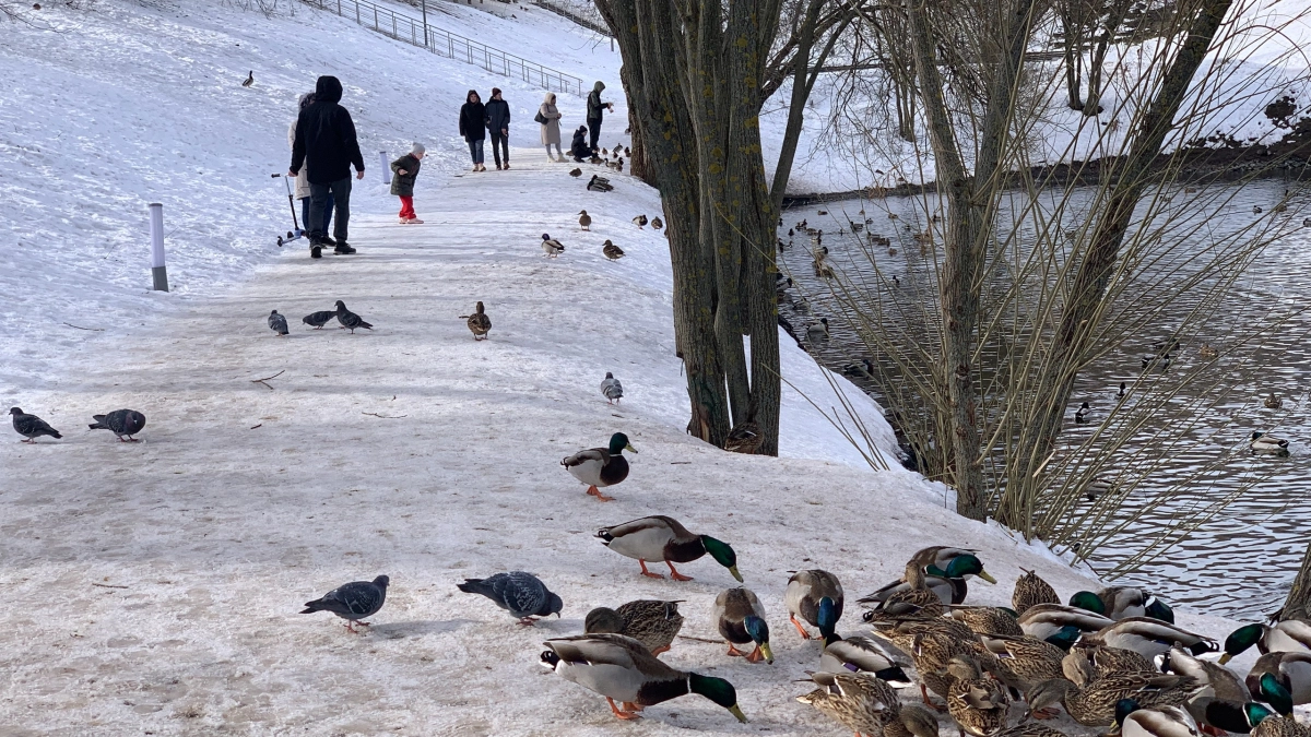 Погода на Пасху удивит россиян: синоптики говорят о неожиданных сюрпризах