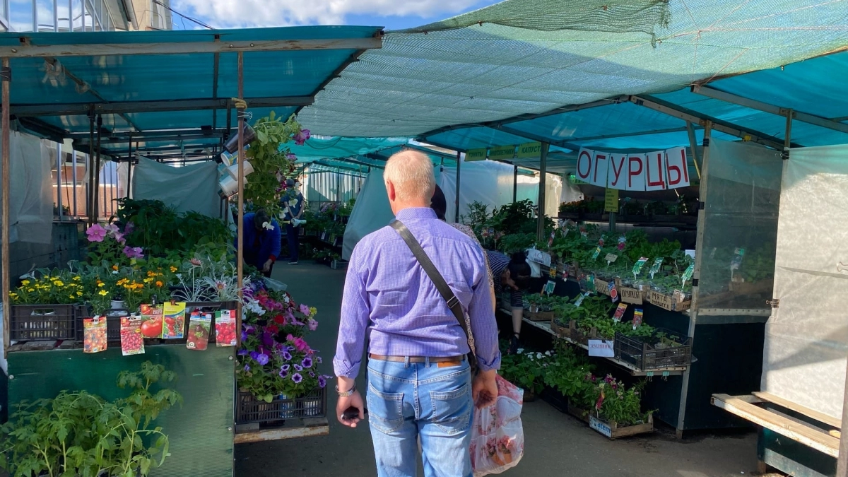 После 60 лет семья - не главное: на чем держится достоинство по Шопенгауэру - 7 опор