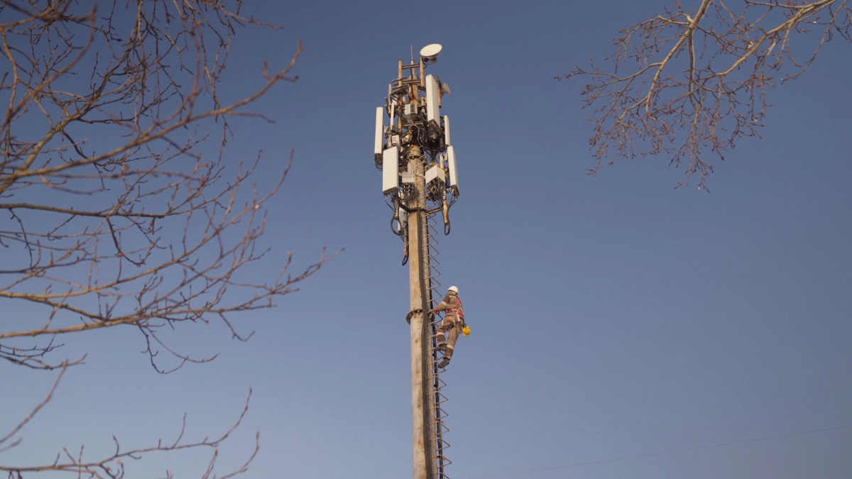 "Пилар" стал лидером башенного рынка по темпам роста и числу вышек – Telecom Daily