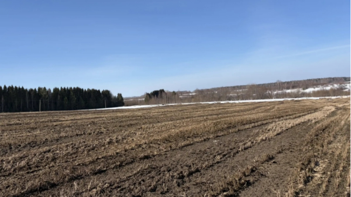 Навоз прямо в поле: в Оричевском районе выявили экологическое нарушение
