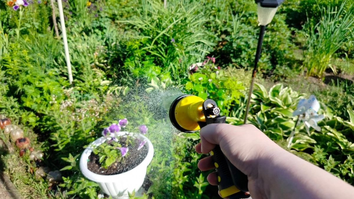 9 растений, которые избавят огород от сорняков. Забудьте про прополку и покосы