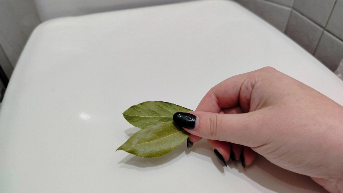 Перед уходом из дома всегда кидай лавровый лист в унитаз - эффект приятно удивит: подруга-горничная подсказала хитрость