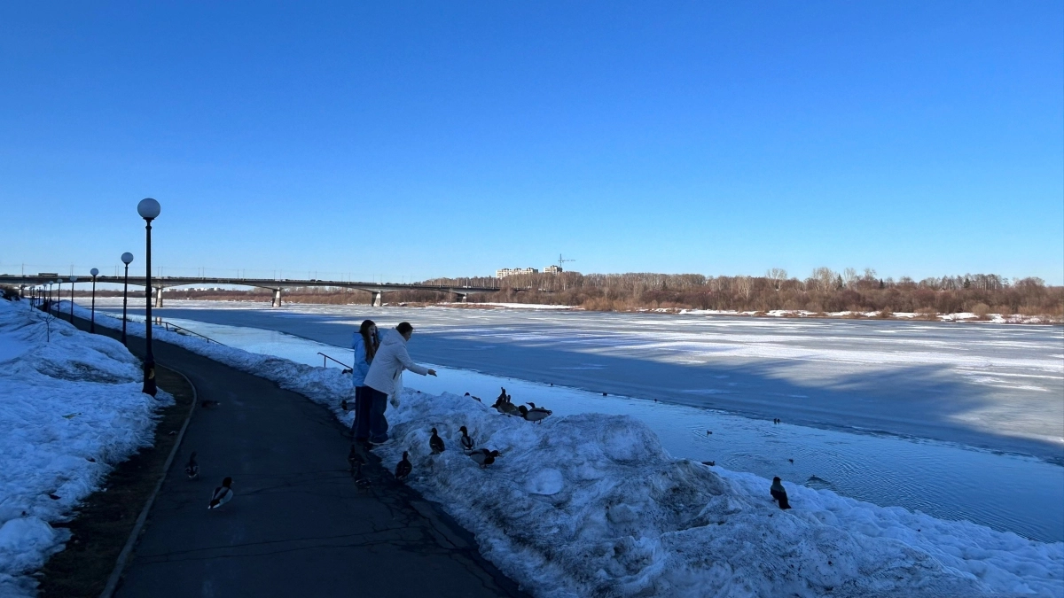 Местами по Кировской области остаются сугробы высотой до 20 сантиметров