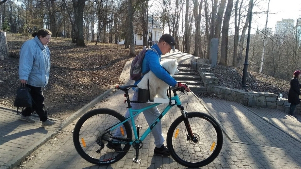 Синоптики оценили вероятность прихода тепла в Киров на майские праздники