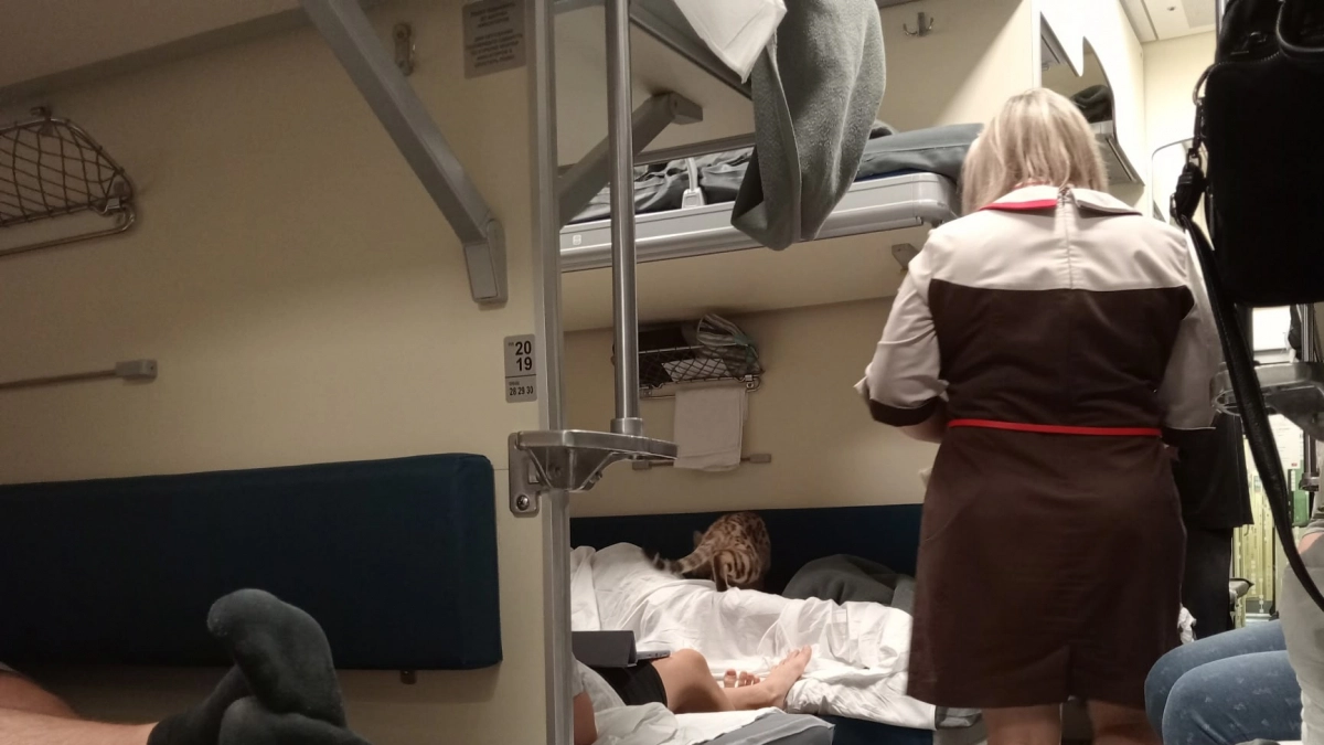 Эту услугу проводники РЖД обязаны оказать в купе и плацкарте, но сами не предложат: секрет бывалых
