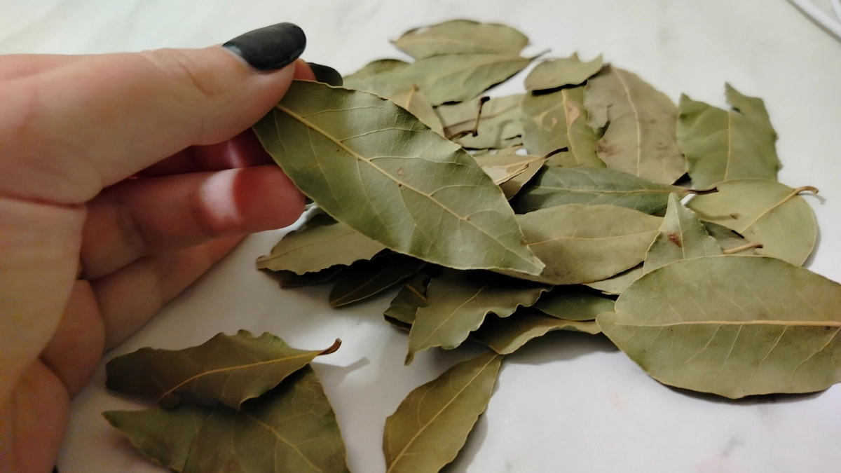 Кладу лаврушку под придверный коврик - результат превзошел все ожидания