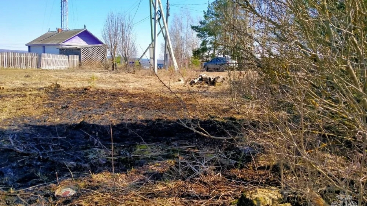 Мужчина бросил окурок в огороде и едва не спалил поселок в Кировской области
