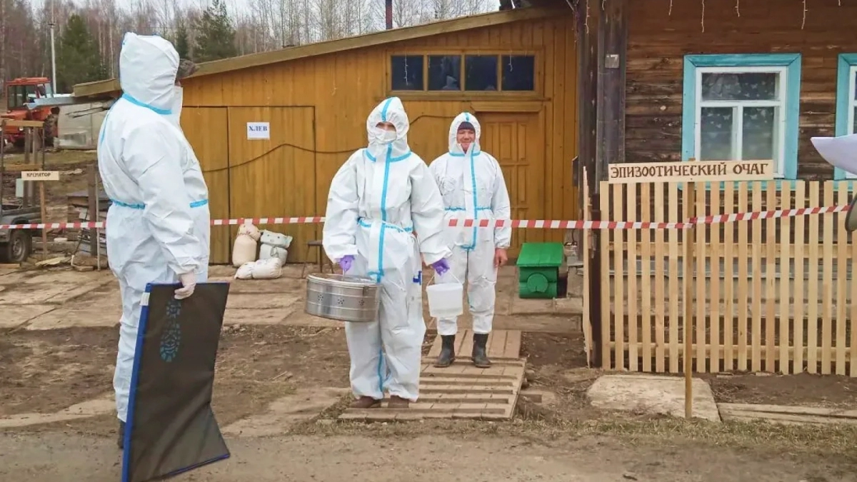 Учения по борьбе с африканской чумой свиней прошли в Кировской области