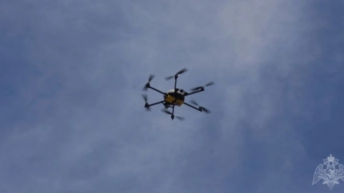 Силы ПВО сбили 97 беспилотников ВСУ над Россией за ночь