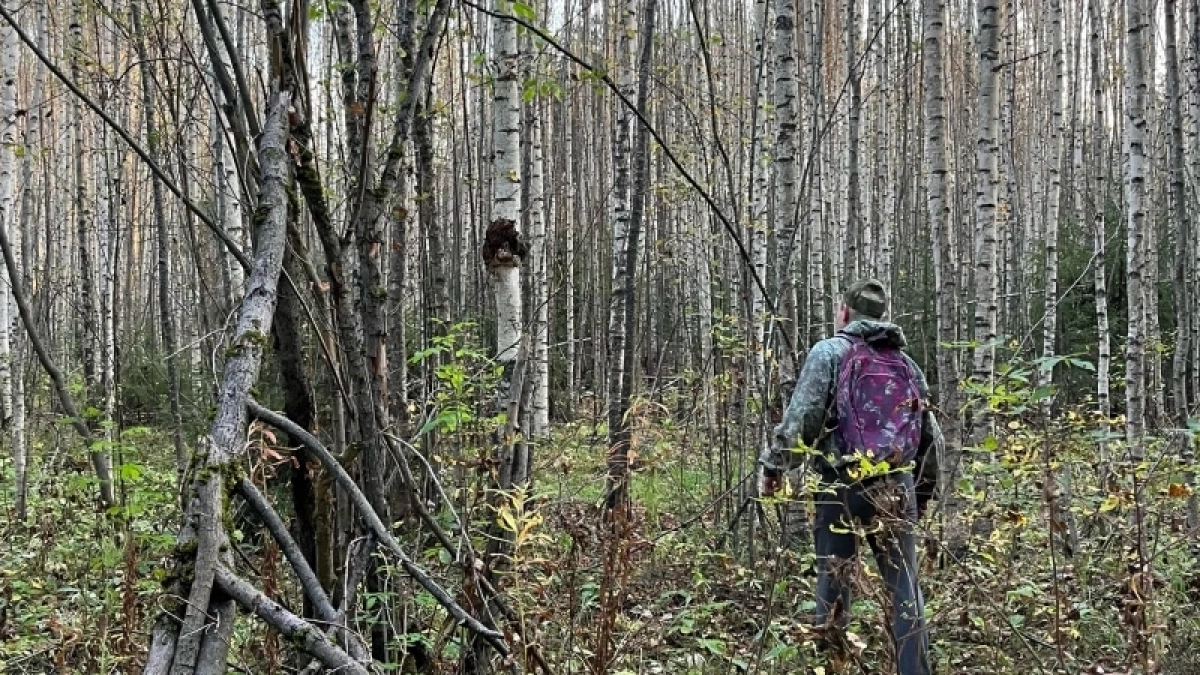 Кировская область отправила 22 тонны семян льна в Республику Беларусь
