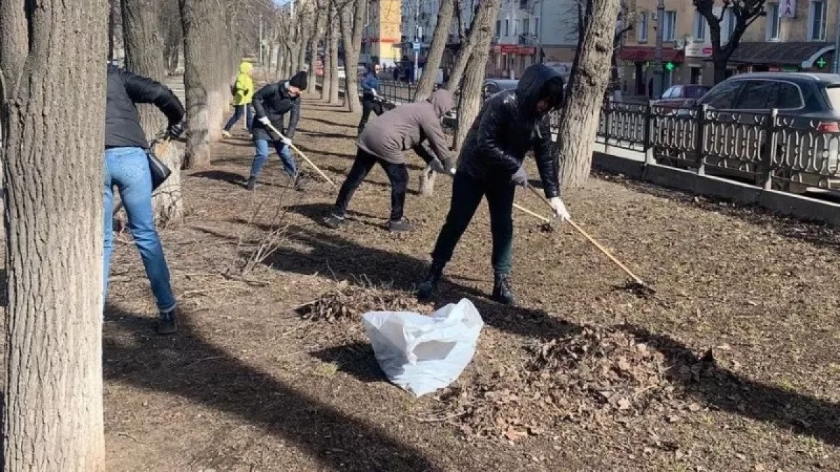 В Кирове очистят овраг между четырьмя улицами в рамках субботника
