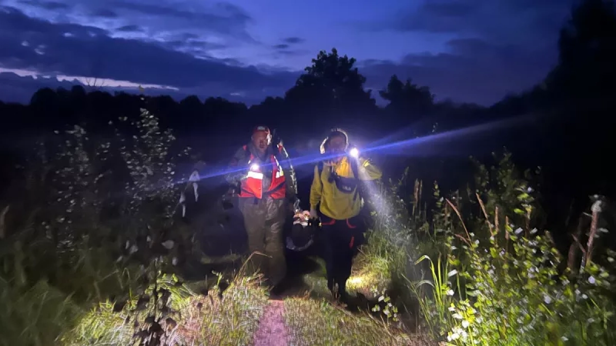 В Лузском районе ищут 79-летнего пенсионера в темной одежде