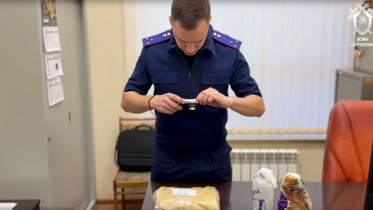 Задержан 17-летний кировчанин, пытавшийся поджечь подстанцию за деньги