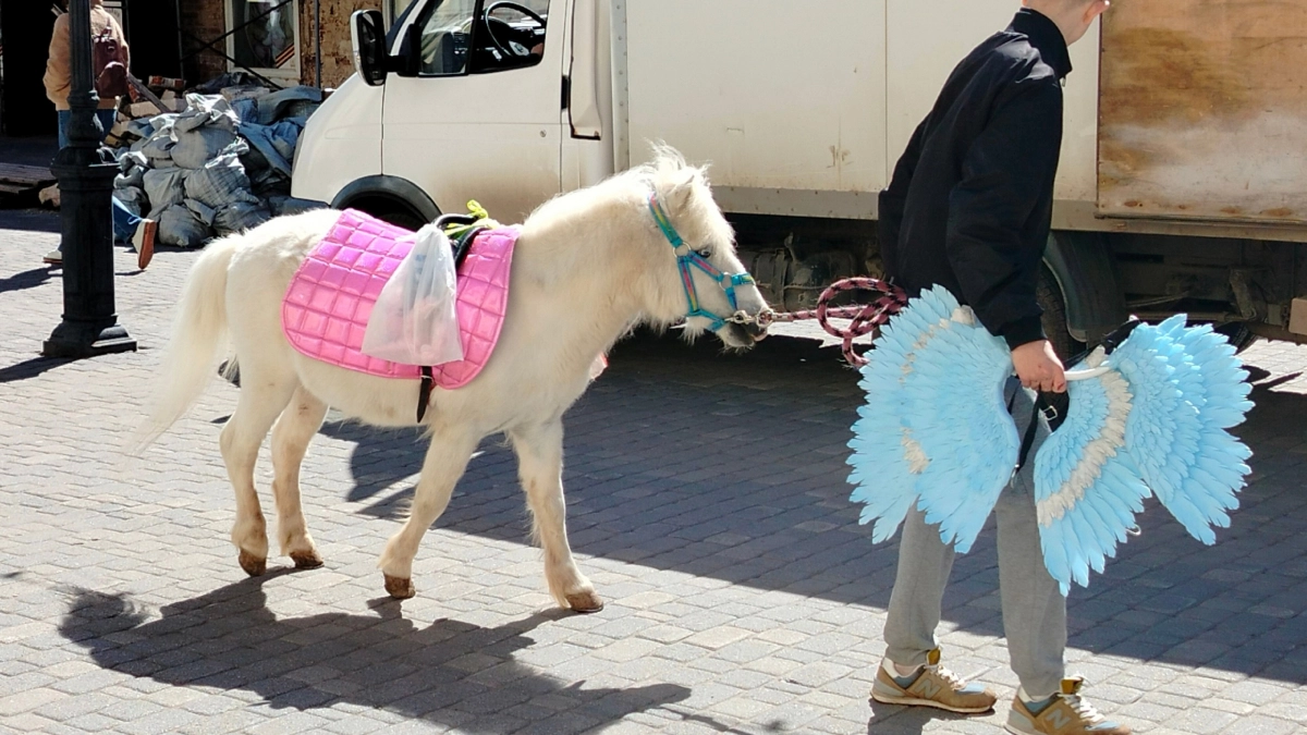 Необычайно повезет: шесть знаков зодиака, которых ждет счастье в 2026 году - не Лев и не Рак