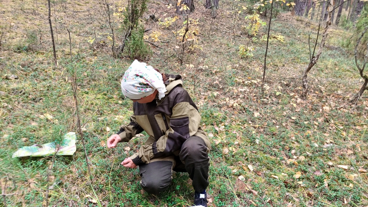 Опасный гриб, из-за которого грибники обходят целые поляны: под какие виды маскируется и как распознать