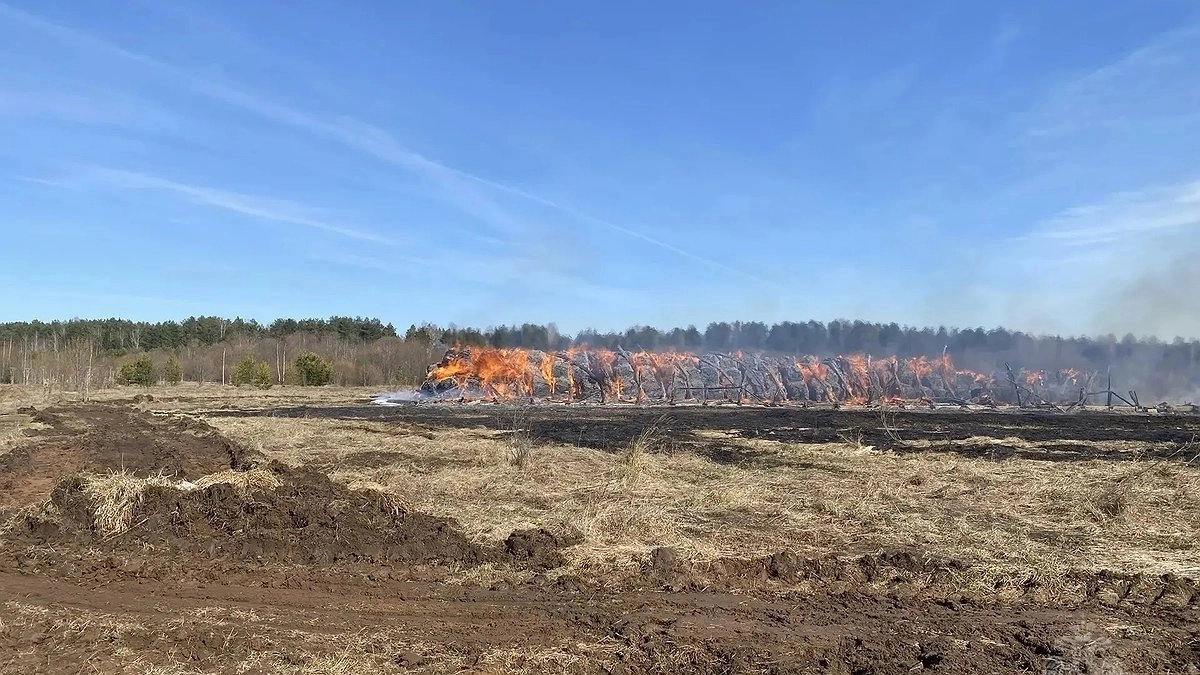 Детская шалость привела к крупному пожару под Кировом