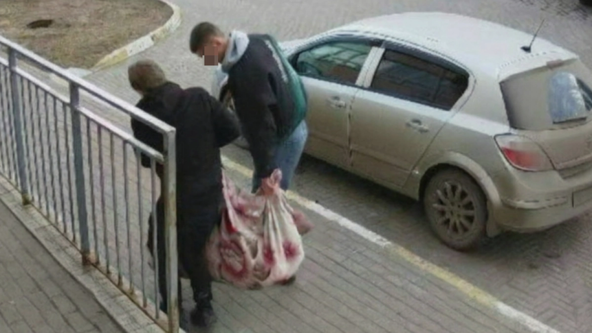 "Жильцы проснулись из-за предсмертного воя собаки": кировчане сообщили о зверской расправе над амстаффом в Радужном