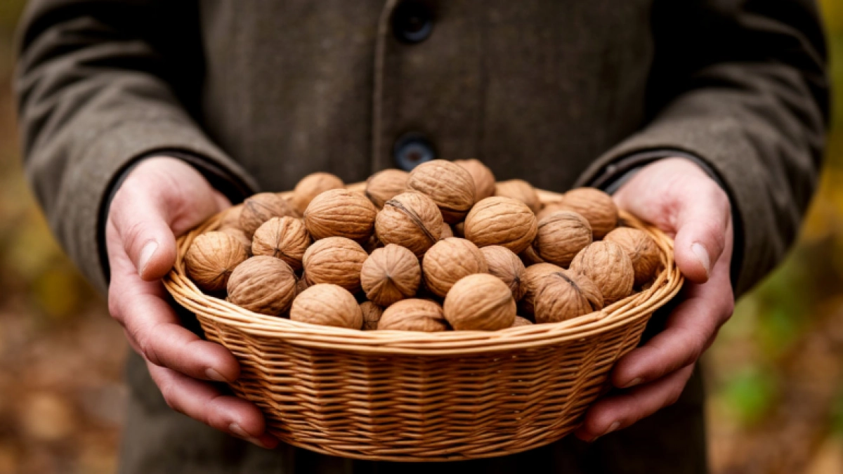 Дачник годами хранил ореховую скорлупу: только сейчас мы узнали зачем он это делал - тоже кинулись