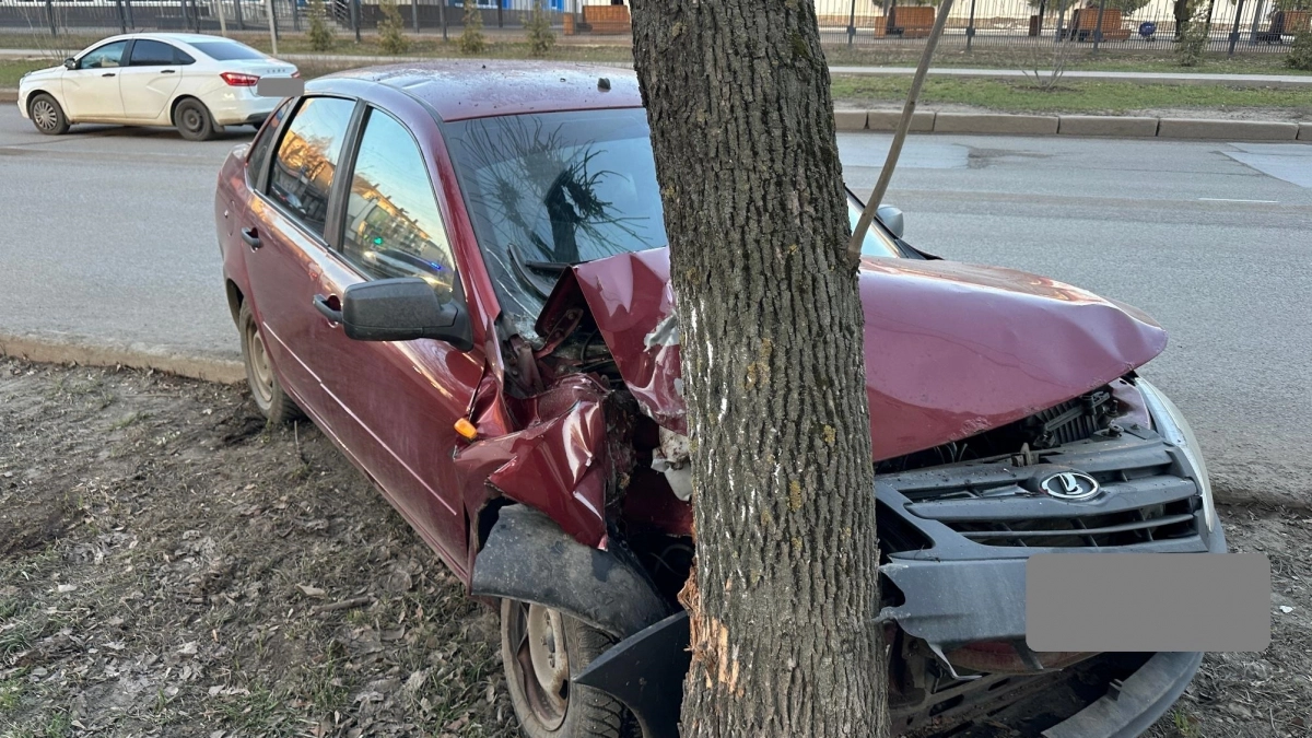 51-летний водитель "Лады Гранты" наехал на бордюр и врезался дерево в Кирове