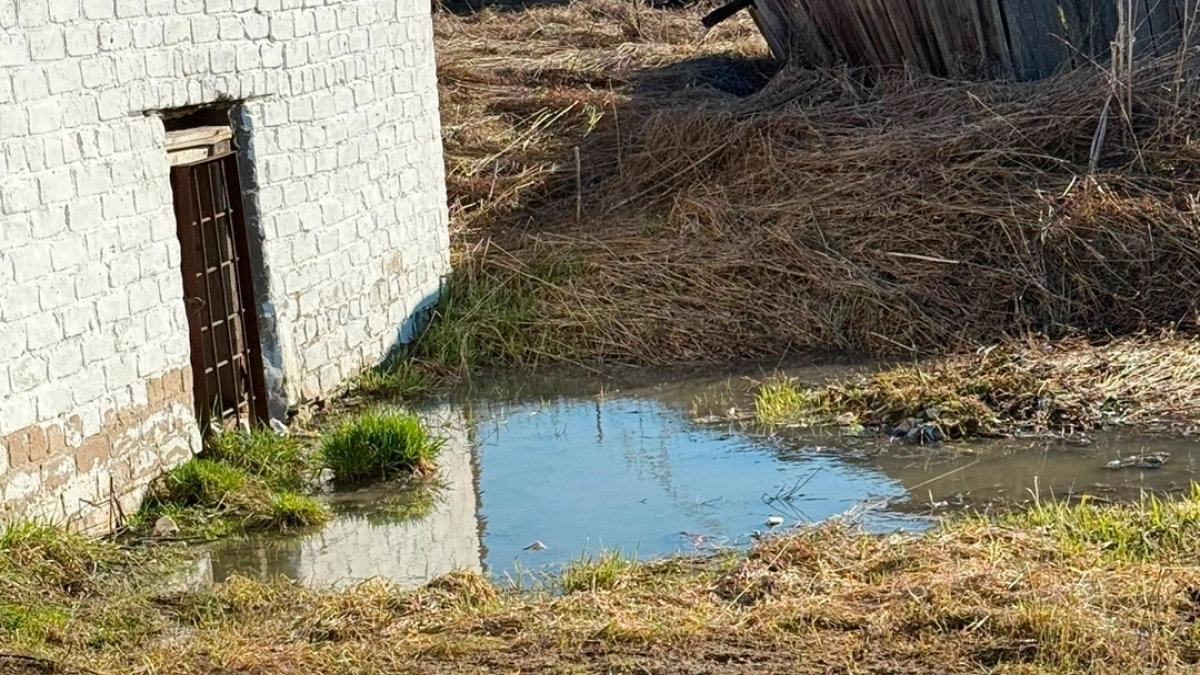 Канализационные стоки в реке: в Подосиновце разгорается коммунальный скандал