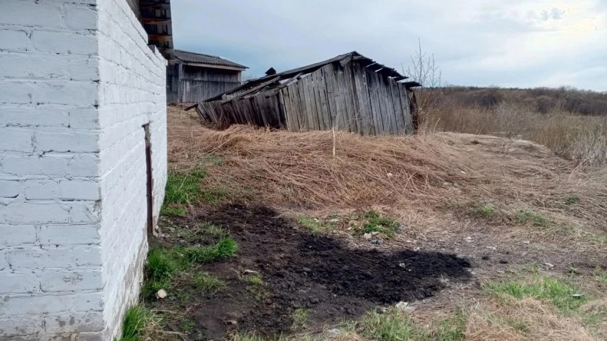 Проверка после жалоб: в Подосиновце не нашли сброса стоков в реку Юг