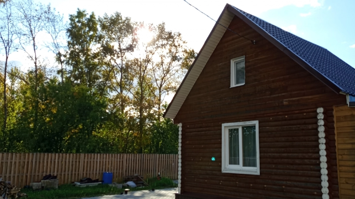 Хуже борщевика: как вредное растение из Америки захватывает Россию - берегите от него свой земельный участок