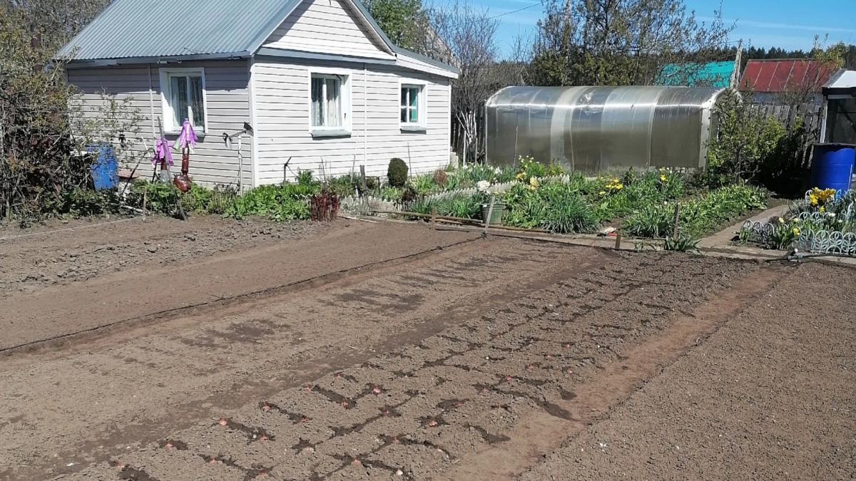 Пенсионеры-дачники освобождаются от платы за ЖКХ: за какие услуги можно не платить и как оформить льготы