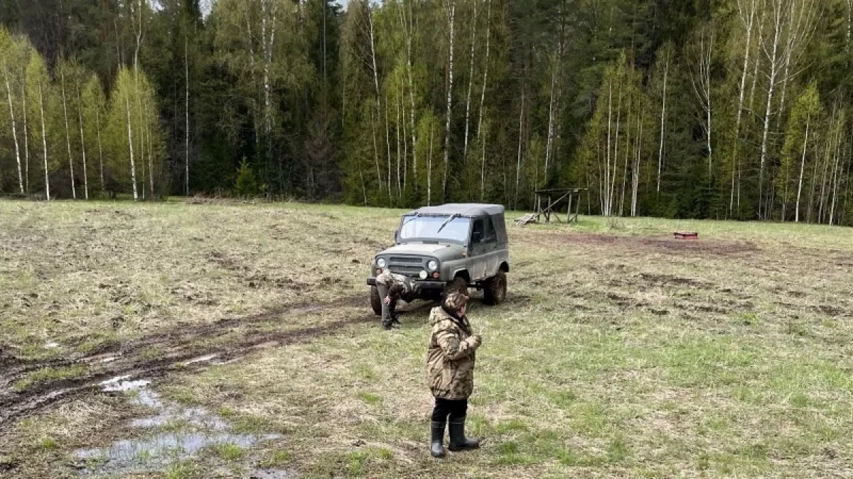 В Кировской области наказали браконьера, незаконно застрелившего лося