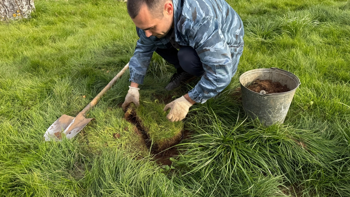 Сорняки исчезают за секунду - без химии и тяпки: как жаль, что я не знала об этом раньше