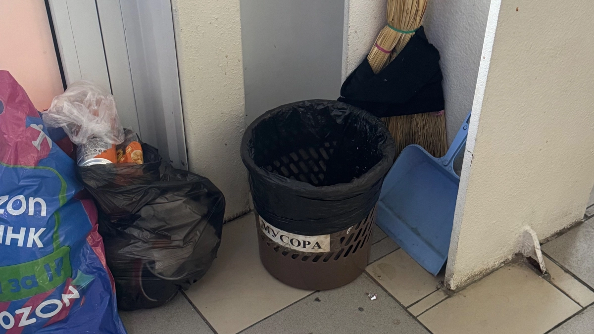 Чтобы мусорное ведро не пахло - кладу туда одну вещь с кухни: свежесть как в зимнем лесу