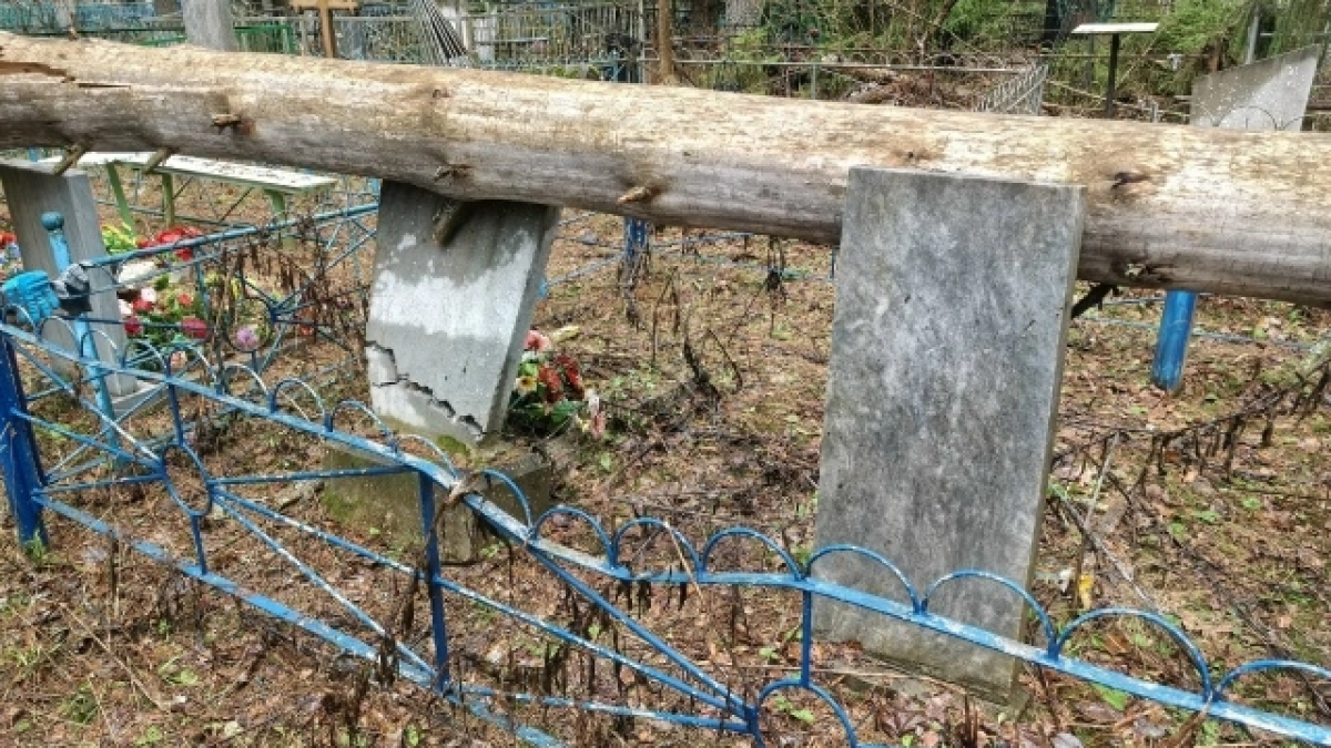 "Разрушены памятники участников ВОВ": в Юрье аварийные деревья повредили места захоронений